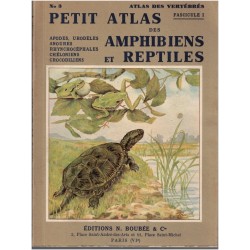 Petit atlas des amphibiens...