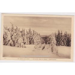 Carte postale Les Vosges en...