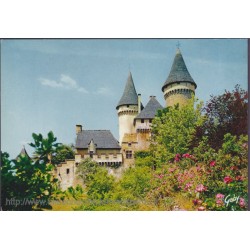 Château de Puymartin,...